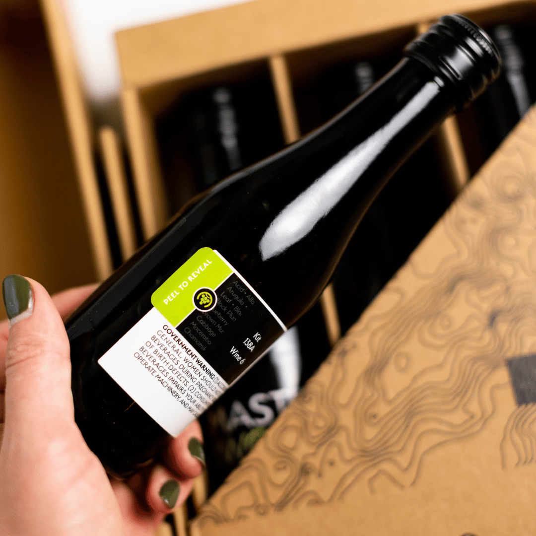 Madeline's Selection of Textbook Wines (6)